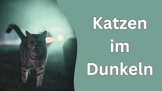 Warum Katzen keine Glöckchen tragen dürfen [upl. by Arehahs244]