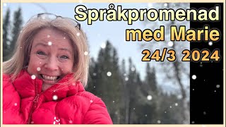 Språkpromenad den 24 mars 2024  Svenska med Marie svenskamedmarie [upl. by Abagail428]