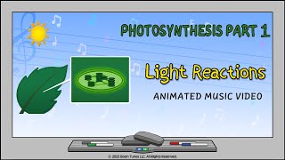 Photosynthesis Part 1 The Light Reactions  Animated Music Video [upl. by Attaynek]