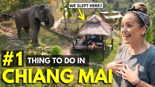 OUR FAVOURITE DAY IN THAILAND  Must Do this in CHIANG MAI 24hrs at Ethical Elephant Sanctuary [upl. by Filler]