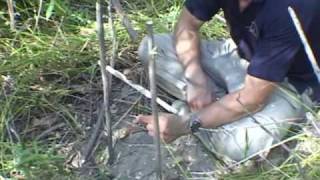 How to make a primitive trap the tbar snare wilderness survival traps [upl. by Jocelyn376]