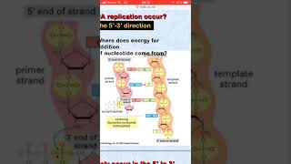 DNA Replication ppt [upl. by Ahsino275]