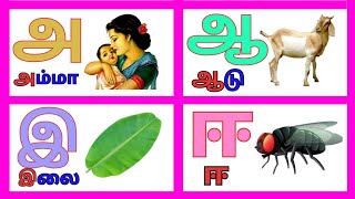 Uyir Ezhuthukal  Tamil alphabet  kids learning video l kids learning Tamil alphabet Kidslearntv2 [upl. by Artenek]