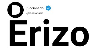 Erizo Significado En Español [upl. by Fonsie895]