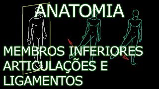 Aula Anatomia  Membros Inferiores  Articulações e Ligamentos  Anatomia Humana Osteomuscular [upl. by Raama387]