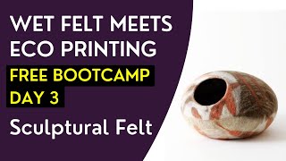 Wet Felt Meets Eco Printing Bootcamp  Day 3 [upl. by Dempster589]