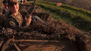 First bean field goose hunt of the season success [upl. by Steck]