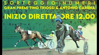 IPPODROMO CAPANNELLE SORTEGGIO NUMERI TRIOSSI E CARENA 6 NOVEMBRE 2024 [upl. by Debbie527]