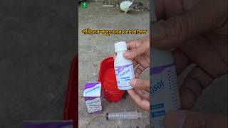 Pigeom medicine hydrosol  Belgasol  pigeon short kabutar [upl. by Hanus]