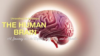 The Human Brain A Journey into its Depths Mysteries and Miracles [upl. by Aw589]