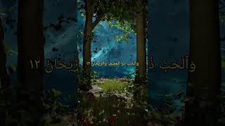 Best tilawate Quraan 🕋 shortsfeed shortvideo short islam [upl. by Joeann]