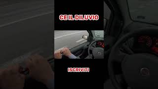 FIAT PANDA ROTTA  COSA DEVO FARE [upl. by Olnek]