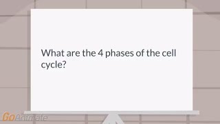 What are the 4 phases of the cell cycle [upl. by Heather]