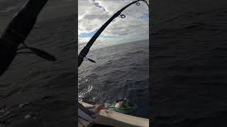 Big snapper fight HARD snapper fishing fishingvideo fishinglife fishingtips fishingvideos [upl. by Einrae235]