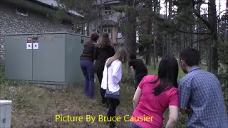 Large Bull Elk In Town Of Banff [upl. by Hembree]