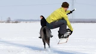 Skijoring  Snowboarding with a horse [upl. by Domenech843]