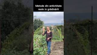 Tratamente in gradina bio biostimulant repelent fungicid solutiibio gradinarit [upl. by Eizle]