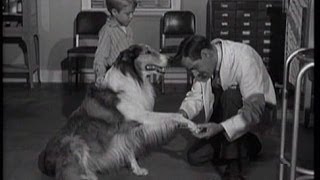 Lassie  Episode 125  quotInoculationquot  Season 4 22 2021958 [upl. by Ennairek]