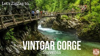 Vintgar Gorge Walk Slovenia [upl. by Hauhsoj199]