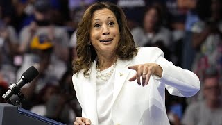 Surge in support for Kamala Harris ‘hasn’t happened’ [upl. by Kenn]