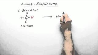 317 Amine  Einführung GK  Chemie  Organische Chemie [upl. by Navonod]