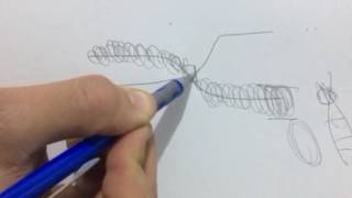 Somatic metaphase chromosome من طالب لطالب [upl. by Bentley]