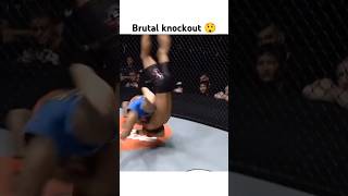 Brutal elbow knockout 😲🔥 ufc shorts knockoutcity mma streetfighter kickboxing [upl. by Nyrehtak953]