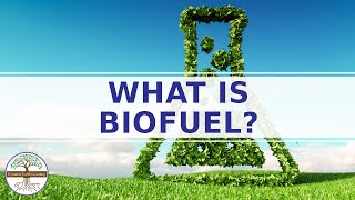 What is Biofuel  Biomass Science Explainer Video [upl. by Oiled]