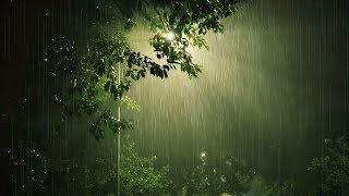 Sleep Very Well On A Rainy Night  Pouring Rain amp Loud Thunder Sounds  Nature Sounds For Sleeping [upl. by Enieledam]