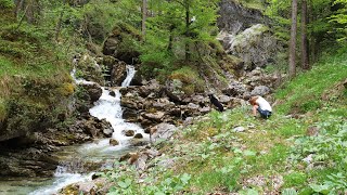 Flitterwochen Tag 7  Wasserfälle abseits der Wege  Wanderurlaub mit Hund in Österreich [upl. by Jedidiah]