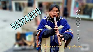 Despacito  Flute  Luis Fonsi ft Daddy Yankee  Quenacho Quena [upl. by Odlanor608]