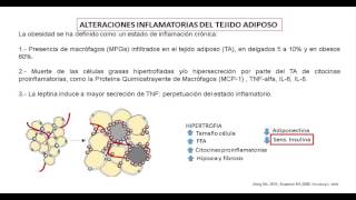 Generalidades Obesidad tejido adiposo y resistencia a la insulina aspectos biológicos [upl. by Inattyrb]