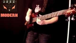 Or Lubianiker Payson Fanned Nickel Steel Bass Strings Dingwall [upl. by Deach]