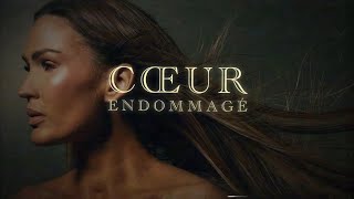 VITAA  Coeur endommagé Lyrics Video [upl. by Sirob]