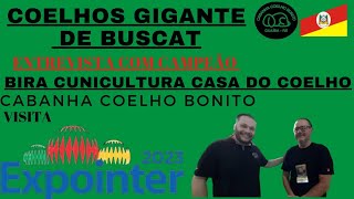 COELHO GIGANTE BUSCAT Campeão Expointer 2023 [upl. by Ollie]