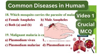 Common Diseases in Human MCQ Part 1 Human Health and disease MCQ  Class 12 Biology Chapter 7 [upl. by Volnay45]