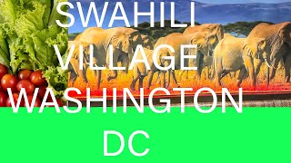 SWAHILI VILLAGE RESTAURANT IN WASHINGTON DC USA [upl. by Japheth630]