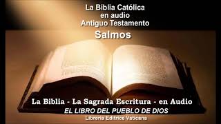 Antiguo Testamento Salmos 1 al 34 La Biblia Católica en audio [upl. by Bolme934]