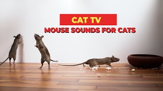 Mouse Sounds Compilation for Cats🐀 CAT TV 🐈 Mouse Sounds to Attract Cats 3 Hours [upl. by Hyacinthia]