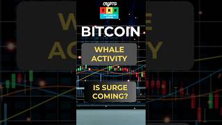 Whale Activity in Bitcoin cryptocurrency trading bitcoin investing altcointrading crypto [upl. by Esyahc]