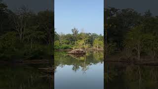 Kabini Backwaters Safari backwaters kabini nagerhole trekking safari [upl. by Nottarts]