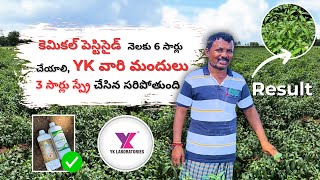 chilli పెస్టిసైడ్ నెలకు 6 సార్లు చేయాలి yk వారి మందులు 3 సార్లు స్ప్రే చేసిన సరిపోతుంది gadwal [upl. by Eliga]