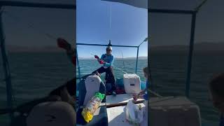 Sacando cabrillas para el caviche en bahía de San Luis Gonzaga [upl. by Medardas929]