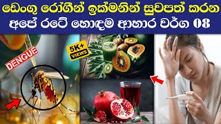 ඩෙංගු රෝගීන්ට සුදුසු ආහාර වර්ග  Dengue roga lakshana  Dengu walata hoda ahara  Dengue [upl. by Nyladnor]