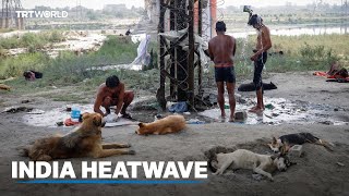 Extreme temperatures in India lead to deaths among humans and animals [upl. by Aieken72]