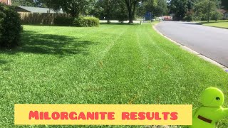 Mowing centipede grass at 3 12 inches after using Milorganite [upl. by Ahtel616]