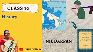 Why NIL DARPAN happened in Indian History  Indigo Revolt  Class 10 [upl. by Ayarahs]