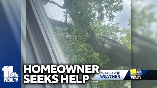 Resident says fallen tree left to sit on home all weekend [upl. by Maltzman]