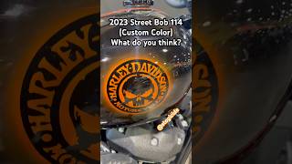 2023 Street Bob 114 Custom Paint The sickest color in 2024 What do you think about this color [upl. by Jahdol10]