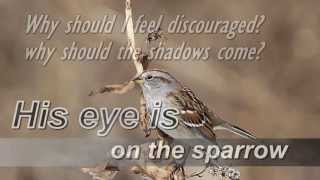 His eye is on the sparrow Instrumental [upl. by Notle417]